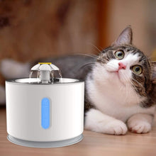 Pet Fountain, VINSIC Cat Water Fountain 80oz/2.4L Large Capacity - Cat Water Dispenser with Filter, Water Level Window, LED Light, Automatic Water Fountain for Cats & Dogs (White)