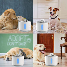 Pet Fountain, VINSIC Cat Water Fountain 80oz/2.4L Large Capacity - Cat Water Dispenser with Filter, Water Level Window, LED Light, Automatic Water Fountain for Cats & Dogs (White)