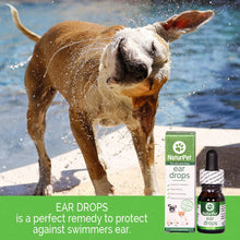 NaturPet Ear Drops | Natural Ear Infection Medicine for Dogs and Cats | Ear Cleaning | Wax, Yeast, Itching, Odours