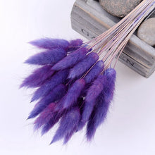 30Pcs/lot Gradient Lagurus Ovatus Natural Dried Flowers Bouquet Wedding Home Easter Decorations Rabbit Tail Grass Real Flowers