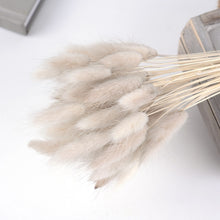 30Pcs/lot Gradient Lagurus Ovatus Natural Dried Flowers Bouquet Wedding Home Easter Decorations Rabbit Tail Grass Real Flowers