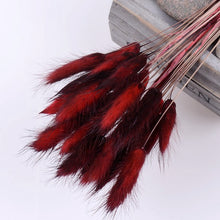 30Pcs/lot Gradient Lagurus Ovatus Natural Dried Flowers Bouquet Wedding Home Easter Decorations Rabbit Tail Grass Real Flowers