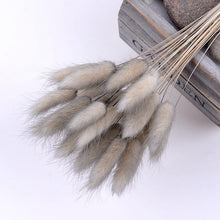 30Pcs/lot Gradient Lagurus Ovatus Natural Dried Flowers Bouquet Wedding Home Easter Decorations Rabbit Tail Grass Real Flowers