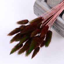 30Pcs/lot Gradient Lagurus Ovatus Natural Dried Flowers Bouquet Wedding Home Easter Decorations Rabbit Tail Grass Real Flowers