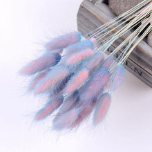 30Pcs/lot Gradient Lagurus Ovatus Natural Dried Flowers Bouquet Wedding Home Easter Decorations Rabbit Tail Grass Real Flowers