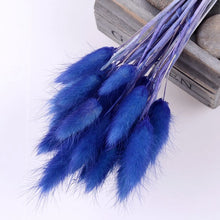 30Pcs/lot Gradient Lagurus Ovatus Natural Dried Flowers Bouquet Wedding Home Easter Decorations Rabbit Tail Grass Real Flowers