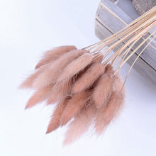 30Pcs/lot Gradient Lagurus Ovatus Natural Dried Flowers Bouquet Wedding Home Easter Decorations Rabbit Tail Grass Real Flowers