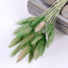 30Pcs/lot Gradient Lagurus Ovatus Natural Dried Flowers Bouquet Wedding Home Easter Decorations Rabbit Tail Grass Real Flowers