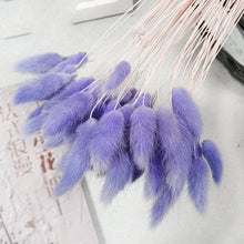 30Pcs/lot Gradient Lagurus Ovatus Natural Dried Flowers Bouquet Wedding Home Easter Decorations Rabbit Tail Grass Real Flowers