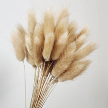 30Pcs/lot Gradient Lagurus Ovatus Natural Dried Flowers Bouquet Wedding Home Easter Decorations Rabbit Tail Grass Real Flowers