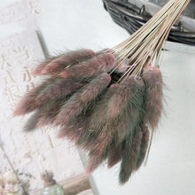 30Pcs/lot Gradient Lagurus Ovatus Natural Dried Flowers Bouquet Wedding Home Easter Decorations Rabbit Tail Grass Real Flowers