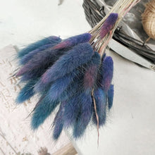 30Pcs/lot Gradient Lagurus Ovatus Natural Dried Flowers Bouquet Wedding Home Easter Decorations Rabbit Tail Grass Real Flowers