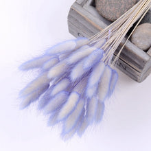 30Pcs/lot Gradient Lagurus Ovatus Natural Dried Flowers Bouquet Wedding Home Easter Decorations Rabbit Tail Grass Real Flowers