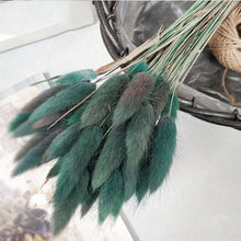 30Pcs/lot Gradient Lagurus Ovatus Natural Dried Flowers Bouquet Wedding Home Easter Decorations Rabbit Tail Grass Real Flowers