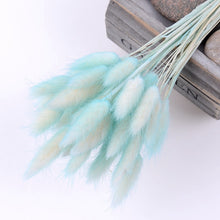 30Pcs/lot Gradient Lagurus Ovatus Natural Dried Flowers Bouquet Wedding Home Easter Decorations Rabbit Tail Grass Real Flowers