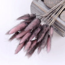 30Pcs/lot Gradient Lagurus Ovatus Natural Dried Flowers Bouquet Wedding Home Easter Decorations Rabbit Tail Grass Real Flowers