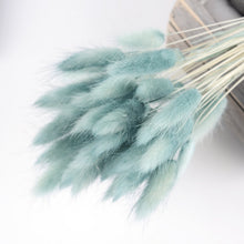 30Pcs/lot Gradient Lagurus Ovatus Natural Dried Flowers Bouquet Wedding Home Easter Decorations Rabbit Tail Grass Real Flowers