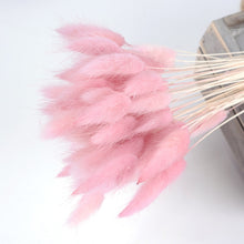 30Pcs/lot Gradient Lagurus Ovatus Natural Dried Flowers Bouquet Wedding Home Easter Decorations Rabbit Tail Grass Real Flowers